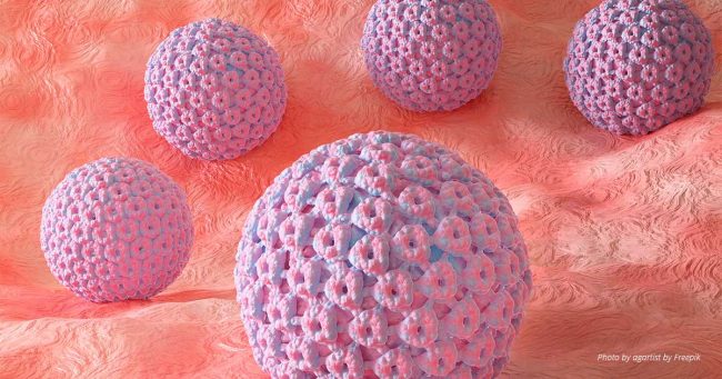 human papillomavirus (HPV)