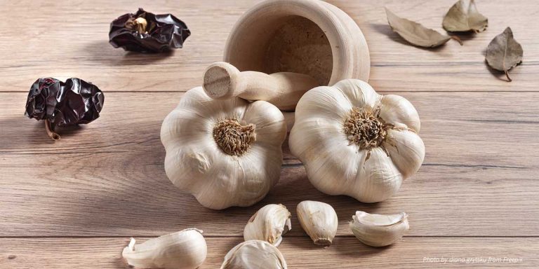 Suplemen Bawang Putih dan Pengobatan HIV