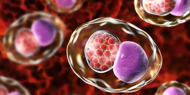 Waspada, Lima Infeksi Menular Seksual Ini Tidak Bergejala